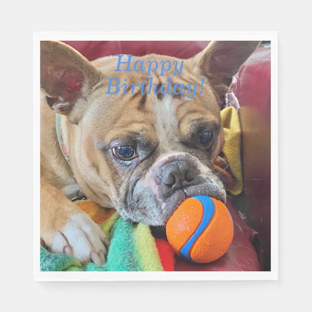 Happy Birthday Brindle Boston Terrier Napkin (Front)
