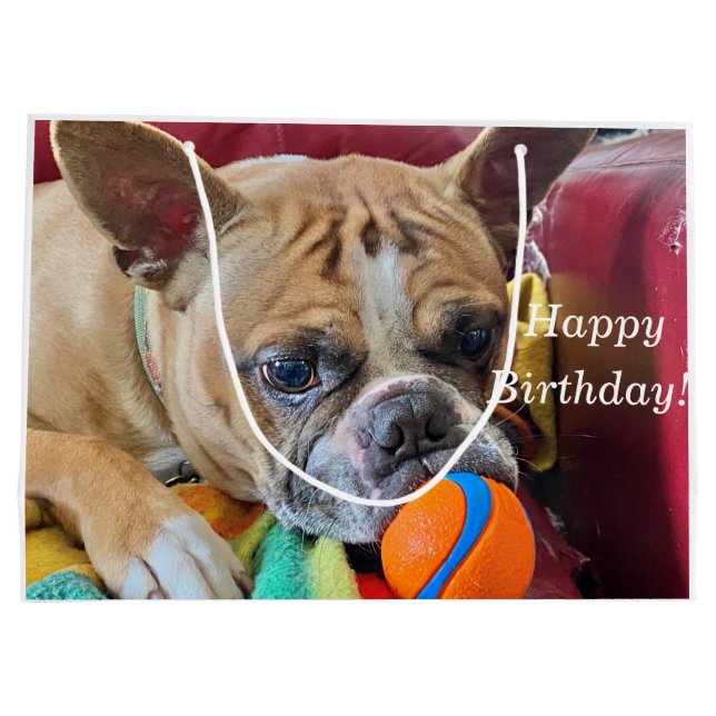 Happy Birthday Brindle Bostyon Terrier Large Gift Bag (Back)
