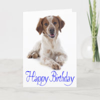 Happy Birthday Brittany Spaniel Puppy Dog Card