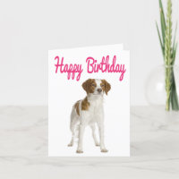 Happy Birthday Brittany Spaniel Puppy Dog Card