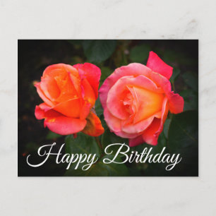 Happy Birthday Broadway Rose #1 Postcard