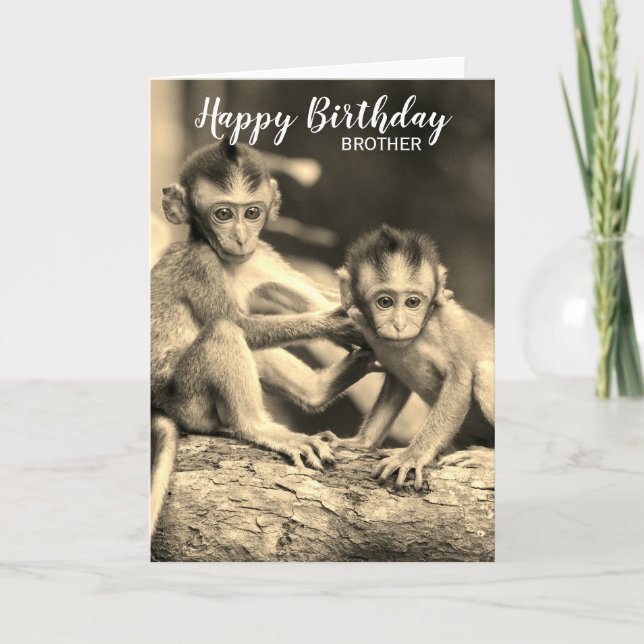 Happy Birthday Brother Cute Monkeys Birthday Card (Front)