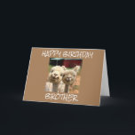 **HAPPY BIRTHDAY BROTHER** FROM CUTE ALPACAS CARD<br><div class="desc">TELL HIM YOU **WISH HIM A HAPPY BIRTHDAY** AND, THE GOOD NEWS IS YOU CAN CHANGE THE VERSE TO SAY "ANYTHING YOU WISH" LIKE "ALL" MY CARDS AT ALL EIGHT OF MY STORES. FOR INSTANCE... YOU CAN WISH HIM OR HER A HAPPY BIRTHDAY OR JUST PUT A VERSE THAT COMES...</div>