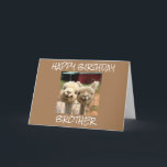 **HAPPY BIRTHDAY BROTHER** FROM CUTE ALPACAS CARD<br><div class="desc">TELL HIM YOU **WISH HIM A HAPPY BIRTHDAY** AND, THE GOOD NEWS IS YOU CAN CHANGE THE VERSE TO SAY "ANYTHING YOU WISH" LIKE "ALL" MY CARDS AT ALL EIGHT OF MY STORES. FOR INSTANCE... YOU CAN WISH HIM OR HER A HAPPY BIRTHDAY OR JUST PUT A VERSE THAT COMES...</div>
