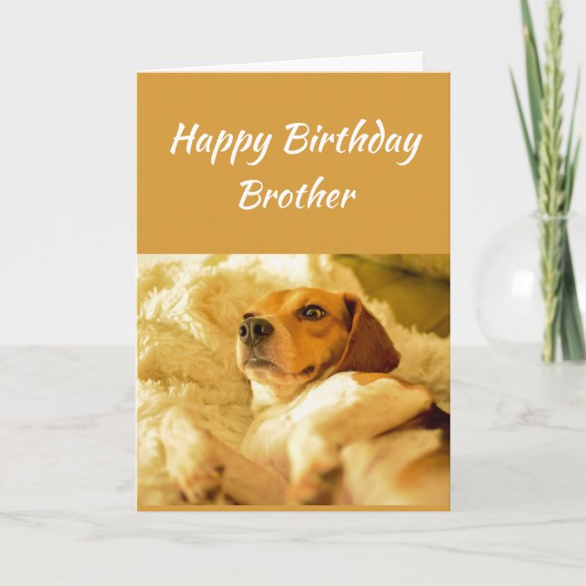 Happy Birthday Brother Funny Animals Card (Front)