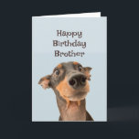 Happy Birthday Brother Funny Dog Humour Card<br><div class="desc">Happy Birthday Brother we've been through a lot together and most of it was your fault.  cute traumatised looking dog</div>