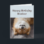 Happy Birthday Brother Funny Dog Party Time! Card<br><div class="desc">Happy Birthday Brother Funny Dog Party Time!</div>