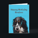 Happy Birthday Brother Funny Dog Party Time!  Card<br><div class="desc">Happy Birthday  Border Collie Brother Funny Dog Party Time!</div>