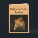 Happy Birthday Brother Funny Go Nuts! Card<br><div class="desc">Funny Birthday card for your Brother  Go Nuts!</div>