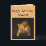 Happy Birthday Brother Funny  Red Squirrel animal  Card<br><div class="desc">Funny Birthday card for your Brother  You're aging like a might oak watch out for falling nuts</div>