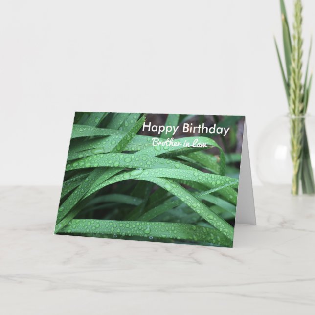 Happy birthday brother in law card (Front)
