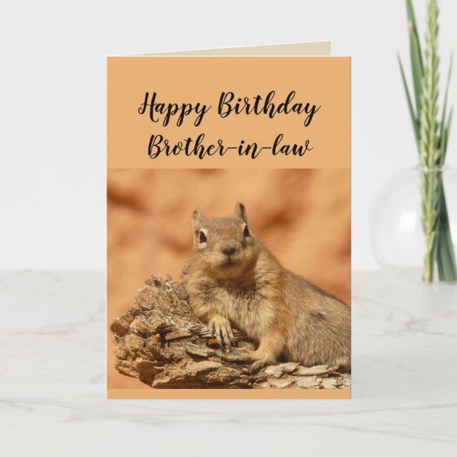 Happy Birthday Brother-in-law Funny Squirrel Card (Front)