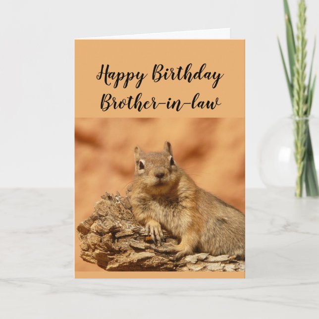 Happy Birthday Brother-in-law Funny Squirrel Relax Card (Front)