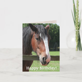 Happy  Birthday Brown Horse Equestrian Riding Card