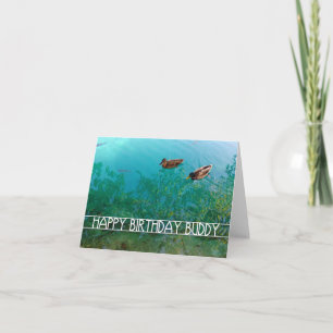 happy birthday buddy (two ducks) card