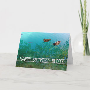 happy birthday buddy (two ducks) card