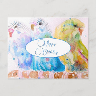 Happy Birthday Budgie Budgies Birds Postcard