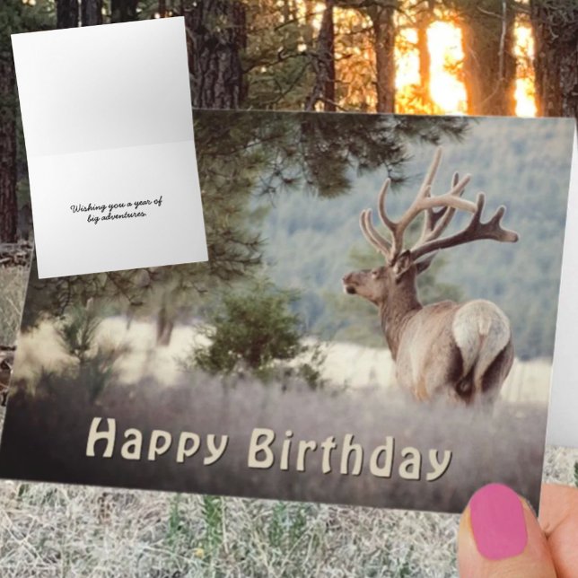 Happy Birthday Bull Elk Photograph Template (Bull elk photograph greeting card cover with front and inside template text. )