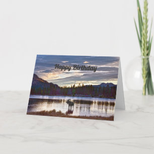 Happy Birthday, Bull Moose, Sprague Lake, Colorado Card
