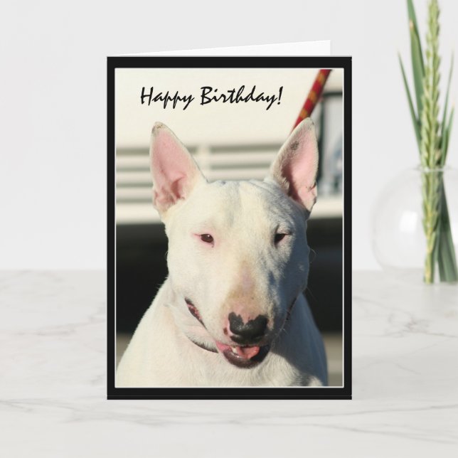 Happy Birthday Bull Terrier greeting card (Front)