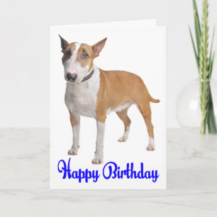 Happy Birthday Bull Terrier Puppy Dog Card