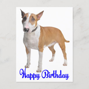 Happy Birthday Bull Terrier Puppy Dog Postcard