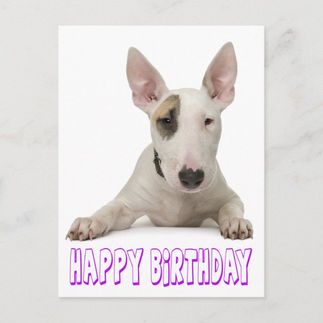 Happy Birthday Bull Terrier Puppy Dog Postcard (Front)
