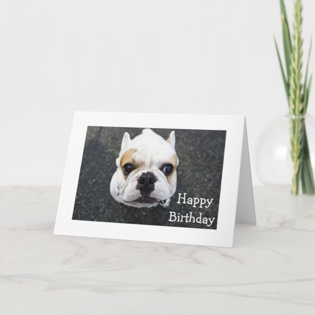 Happy Birthday Bulldog Greeting Card - Verse (Front)