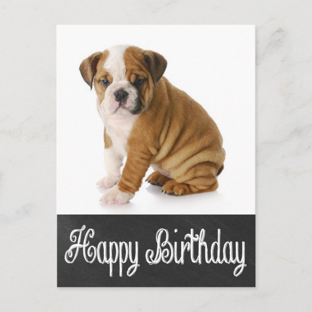 Happy Birthday Bulldog Puppy Chalkboard Postcard (Front)
