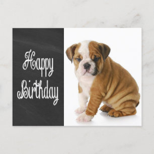 Happy Birthday Bulldog Puppy Chalkboard Postcard