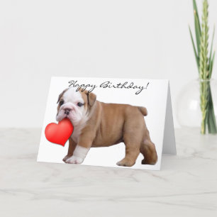 Happy Birthday Bulldog puppy greeting card