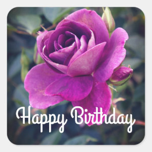 Happy Birthday Burgundy Iceberg #2-2 Sticker