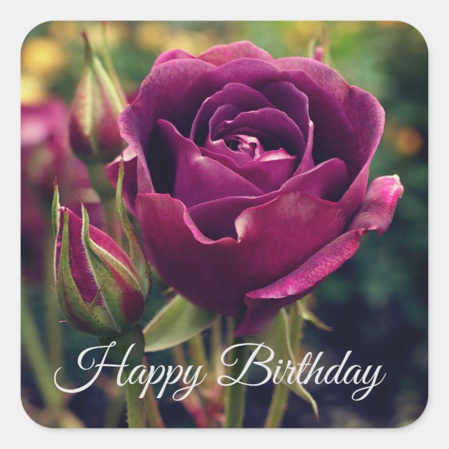 Happy Birthday Burgundy Iceberg Rose #1 Stickers (Front)