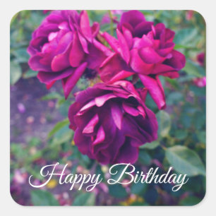 Happy Birthday Burgundy Iceberg Rose #3-2 Stickers