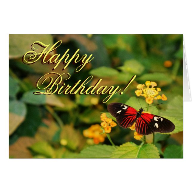 Happy Birthday Butterfly Card (Front Horizontal)