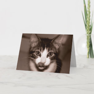 Happy Birthday! Card