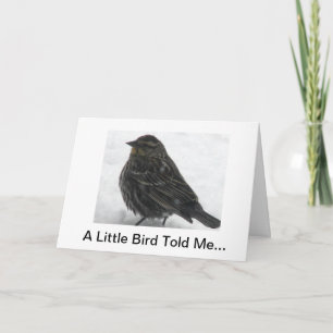 Happy Birthday Card