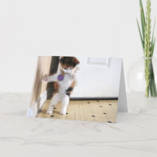 Happy Birthday! Card