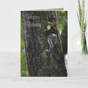 Happy Birthday Card
