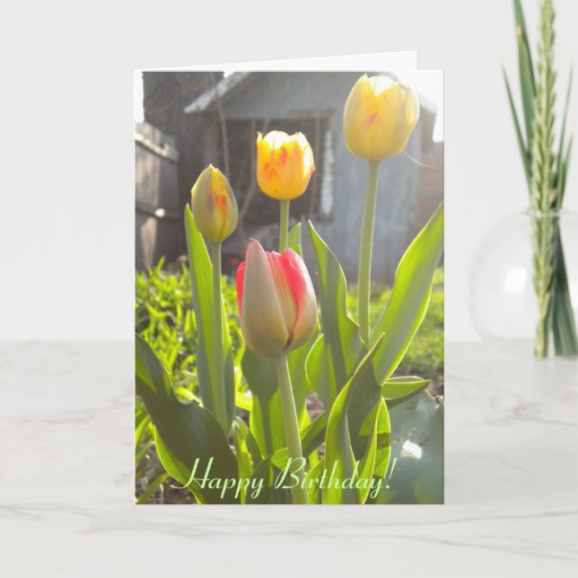 Happy Birthday! Card (Front)