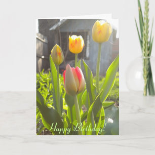 Happy Birthday! Card