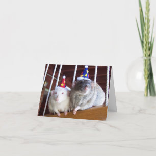 Happy Birthday Card