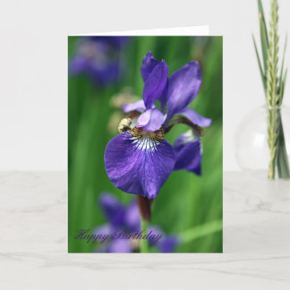 Happy Birthday Card
