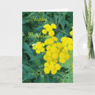 Happy Birthday Card