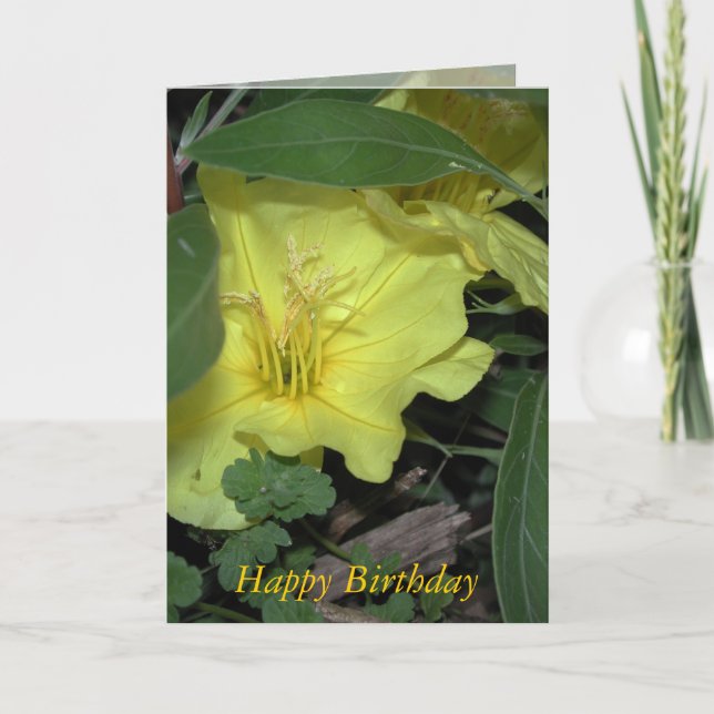 Happy Birthday Card (Front)