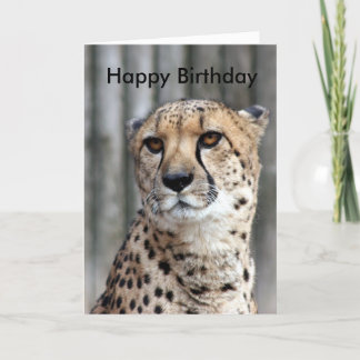 Happy Birthday Card