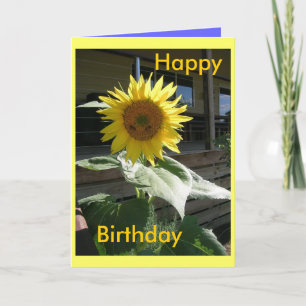 Happy  Birthday card