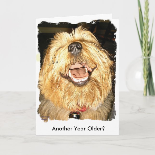 Happy Birthday Card (Front)