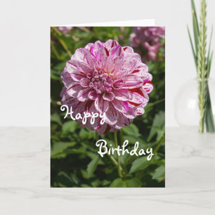 Happy Birthday Card