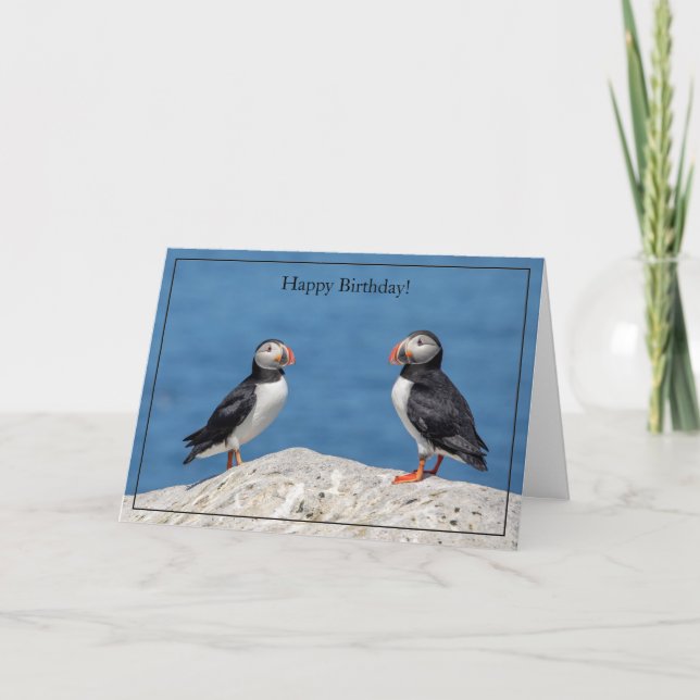 Happy Birthday Card Atlantic Puffin (Front)